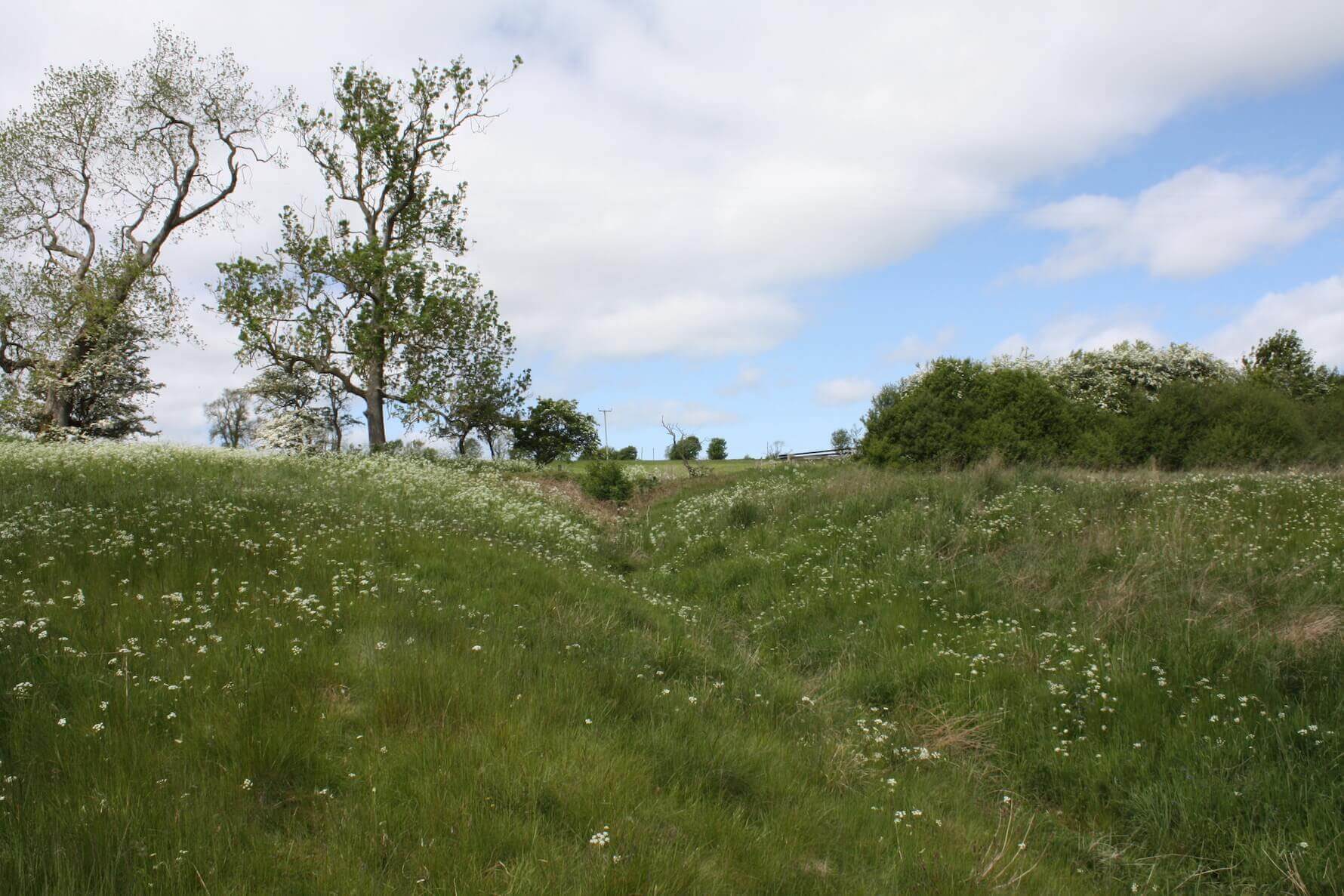 glebe retreat meadows