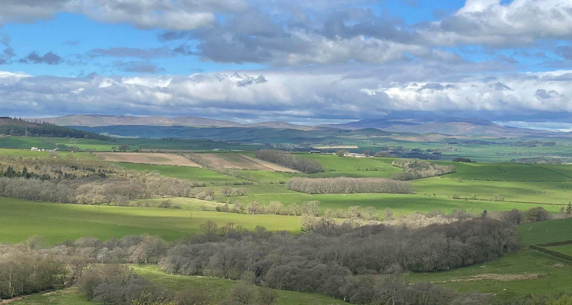 the scenery surrounding the glebe holidays northumberland