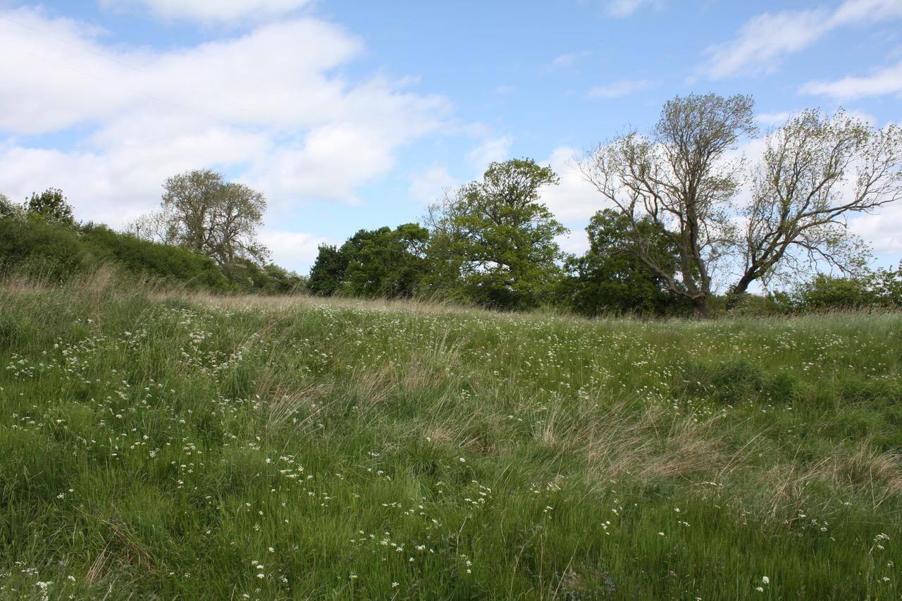 Top of glebe field